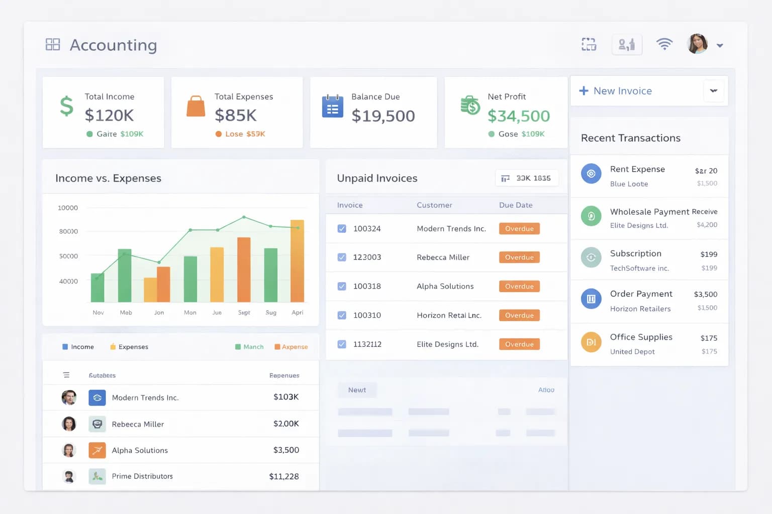 Accounting interface screenshot